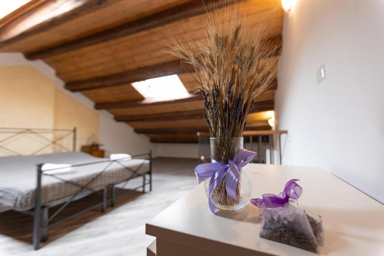 Agriturismo La Valle Della Lavanda - Podere Mezzastrada 파우글리아 외부 사진