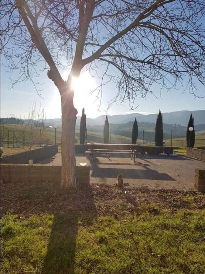 Agriturismo La Valle Della Lavanda - Podere Mezzastrada 파우글리아 외부 사진