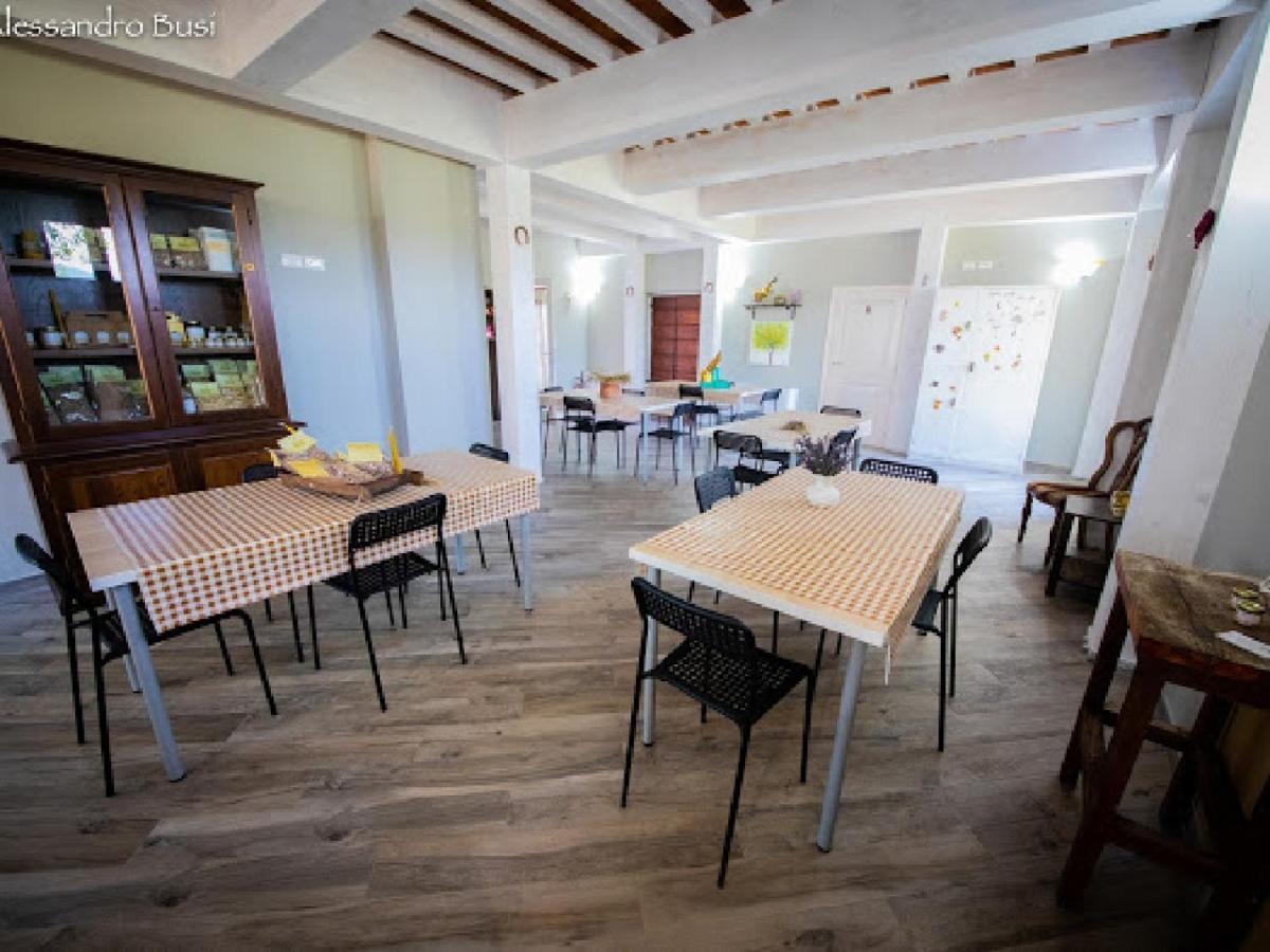 Agriturismo La Valle Della Lavanda - Podere Mezzastrada 파우글리아 외부 사진